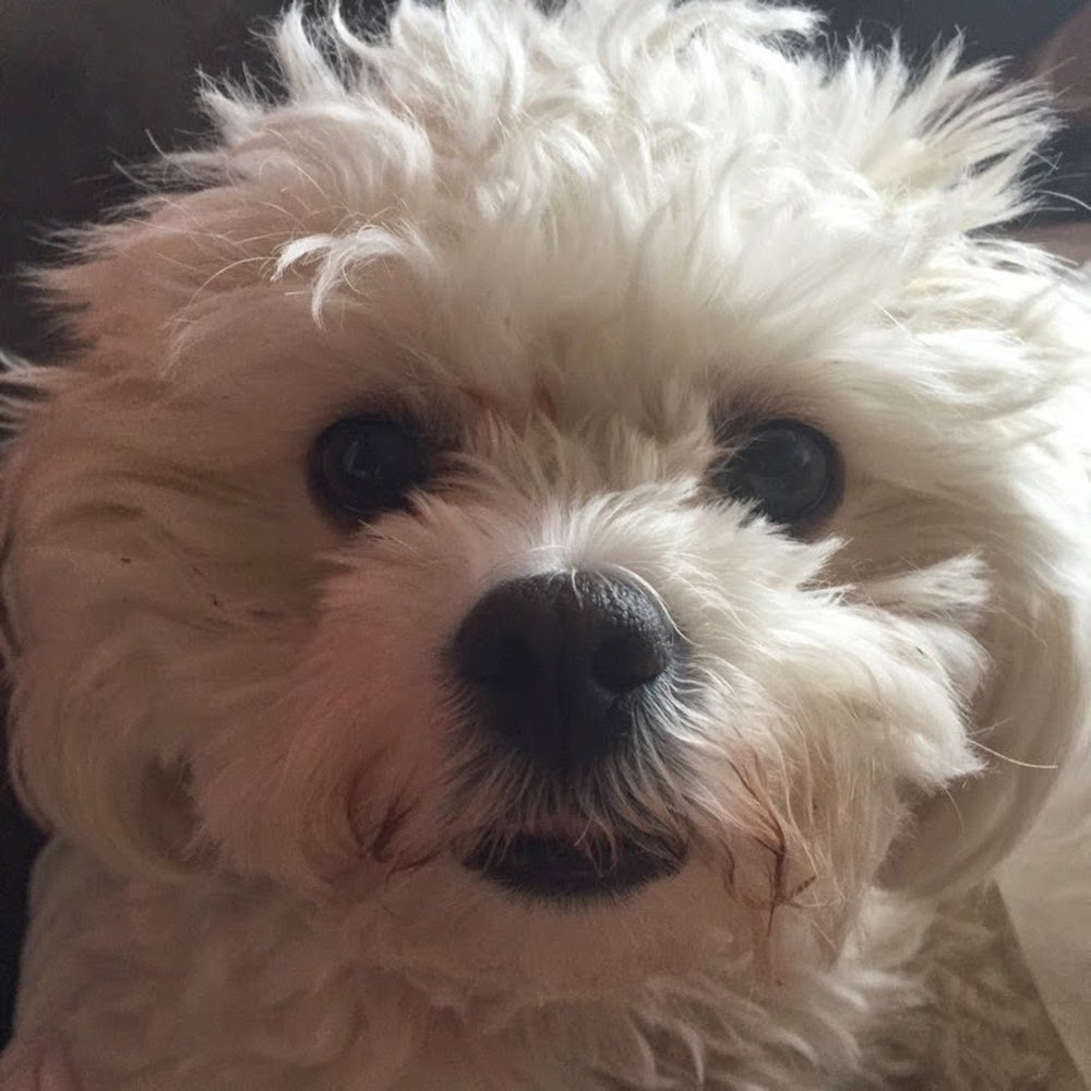 Meet your Posher, Valencia