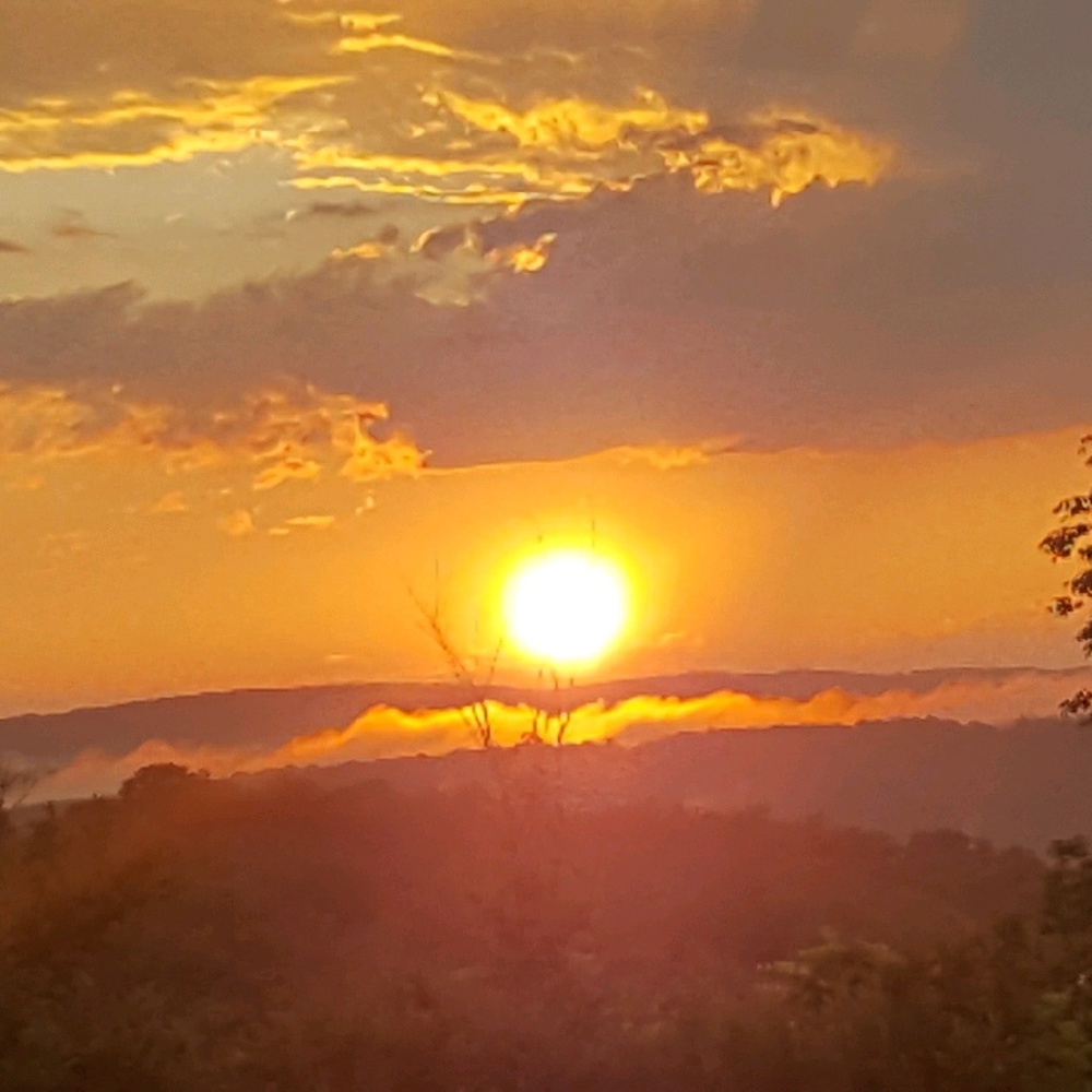 Meet your Posher, Wv