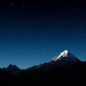 Meet your Posher, Frankie