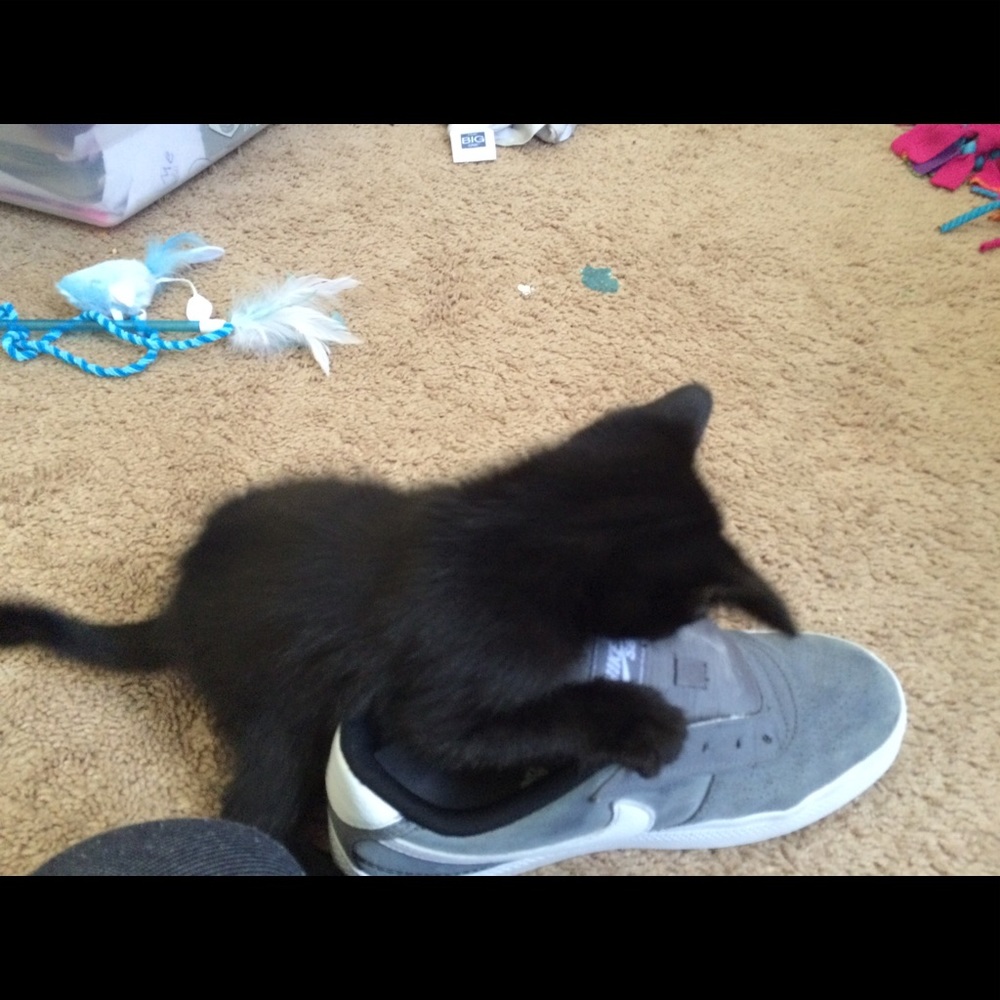 Meet your Posher, Hailey