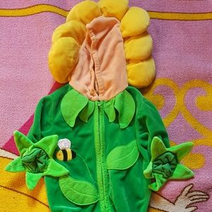 sunflower custome 12m