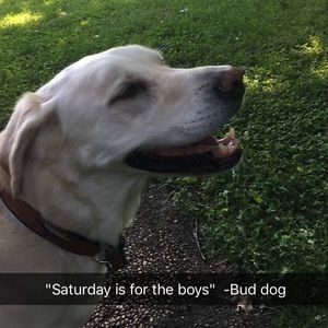 Meet your Posher, Dylan