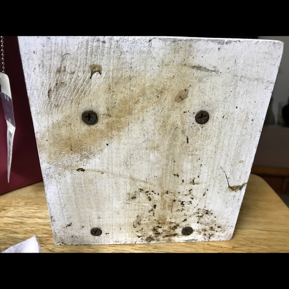 Mississippi State Ultimate FAN Collection ๐ - Picture 8 of 8