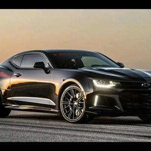 Meet your Posher, Troy