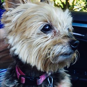 Meet your Posher, Mariah