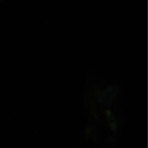 Meet your Posher, Rylee