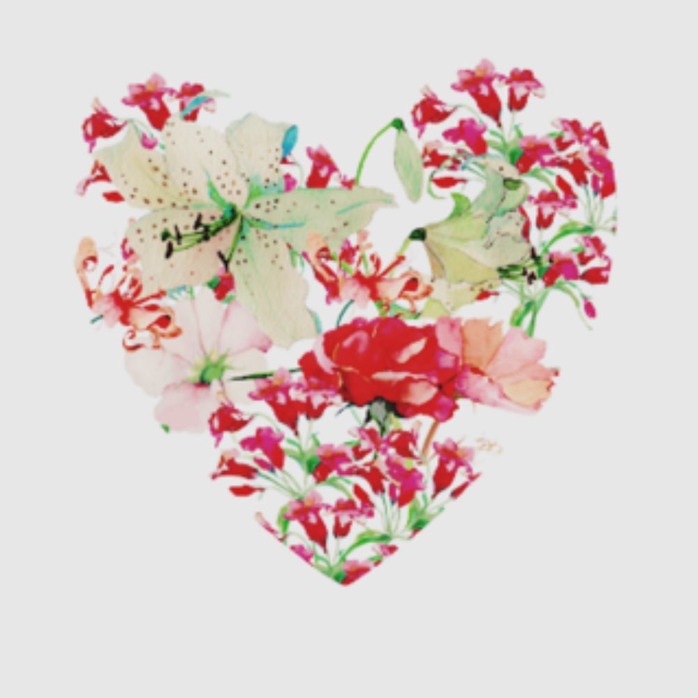 Meet your Posher, Josie