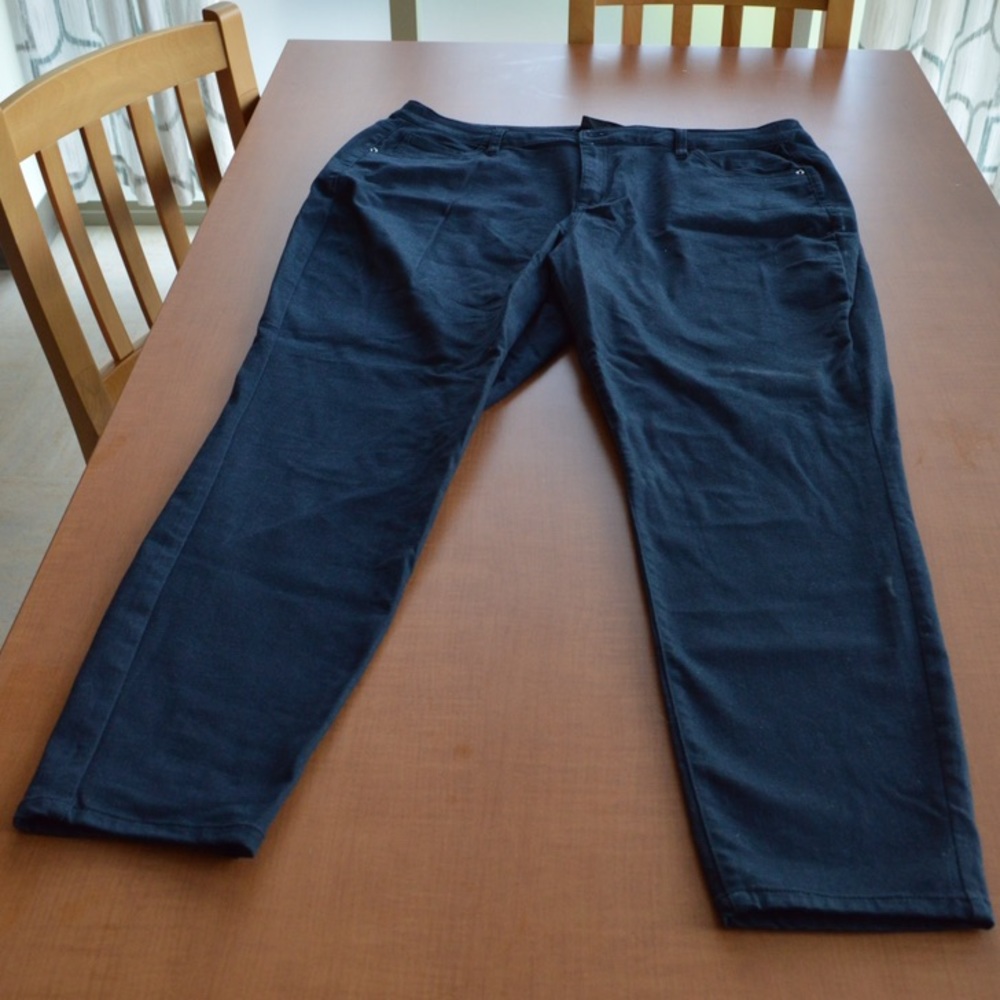 Lane Bryant Black Denim Pants