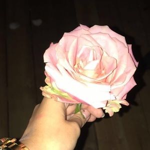 Meet your Posher, Julissa