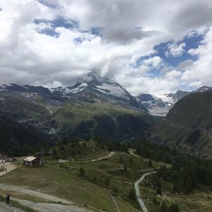 Meet your Posher, Barbara nave