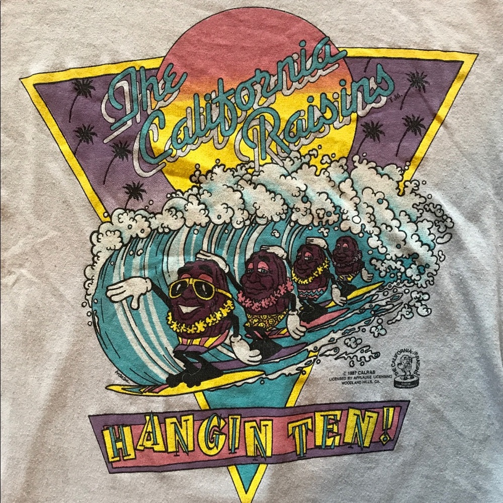 Vintage " The California Raisins " Hangin Ten