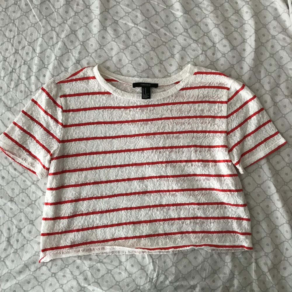Striped, Lace Pattern Crop Top