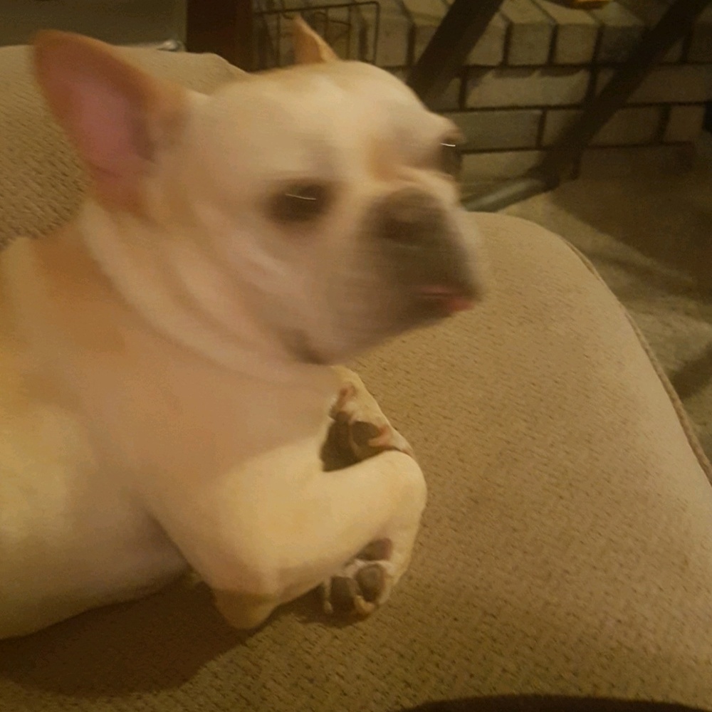 Meet your Posher, Donna