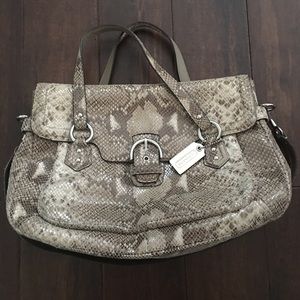 Coach Snake Print Purse