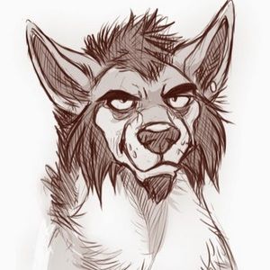 Meet your Posher, Jorge