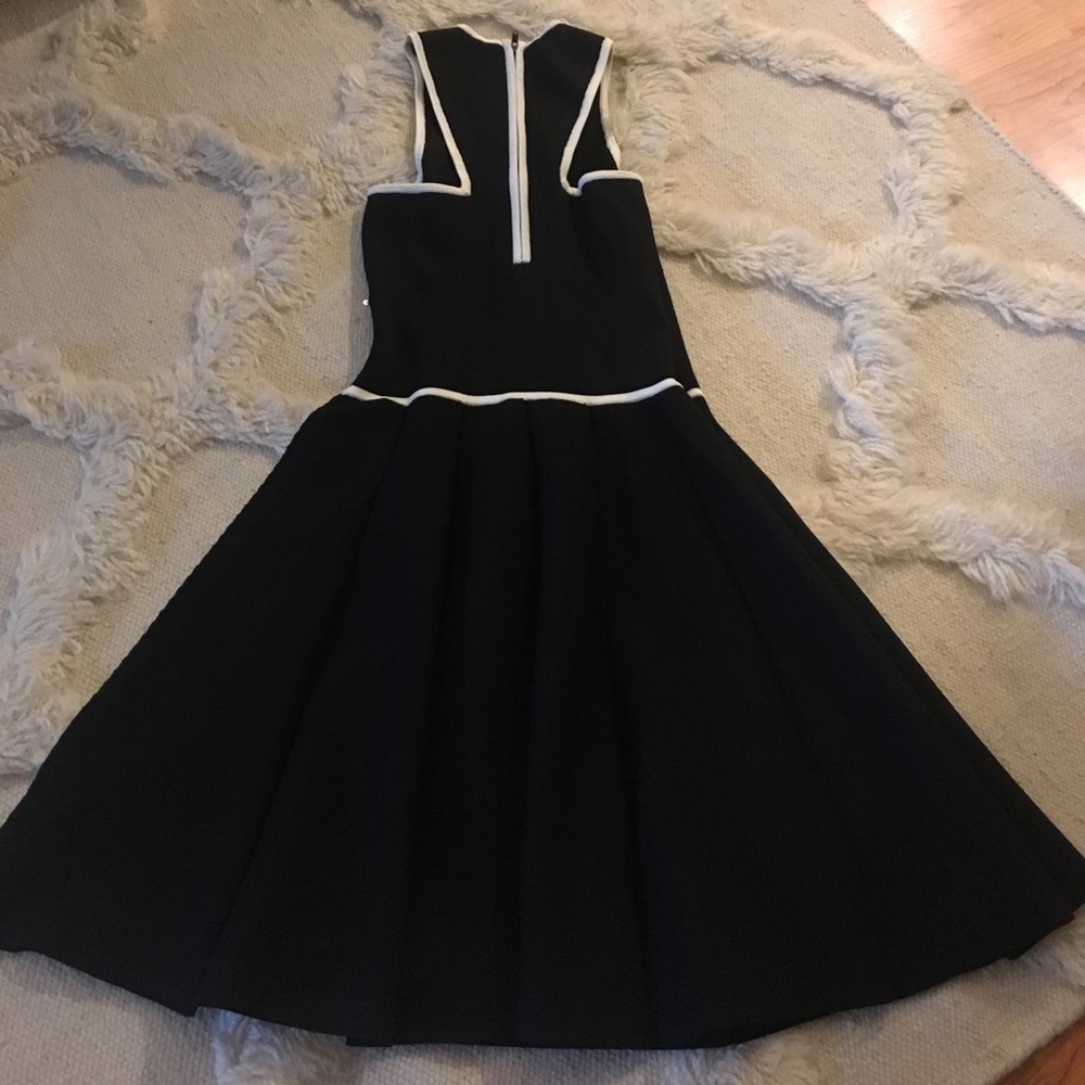 Parker Dress Size XS - Picture 4 of 5