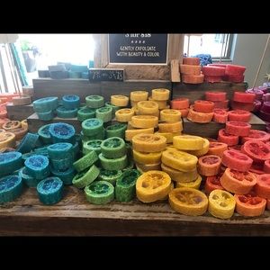 Meet your Posher, Lizzie