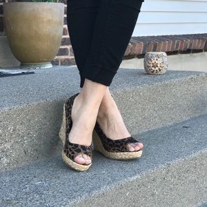🐆 Wild Cheetah Pint Wedges 🐆