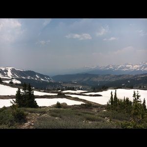 Meet your Posher, Ali