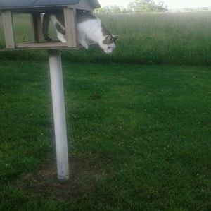 Meet your Posher, Betsye