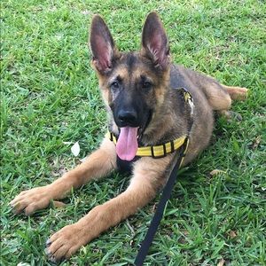 Meet your Posher, Kris