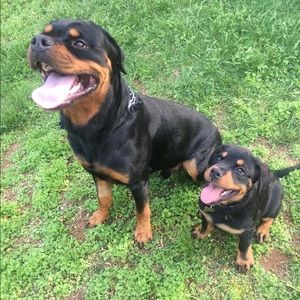 Meet your Posher, Anna