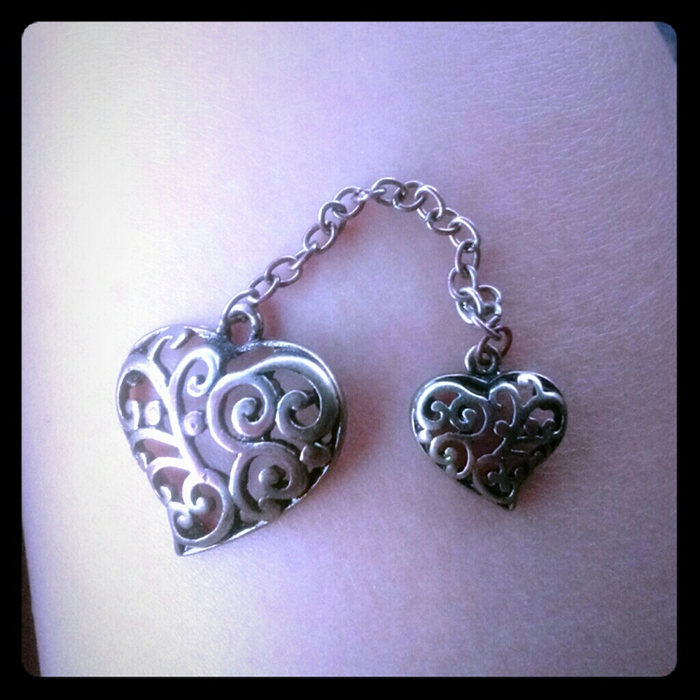Purse/necklace/bracelet charm