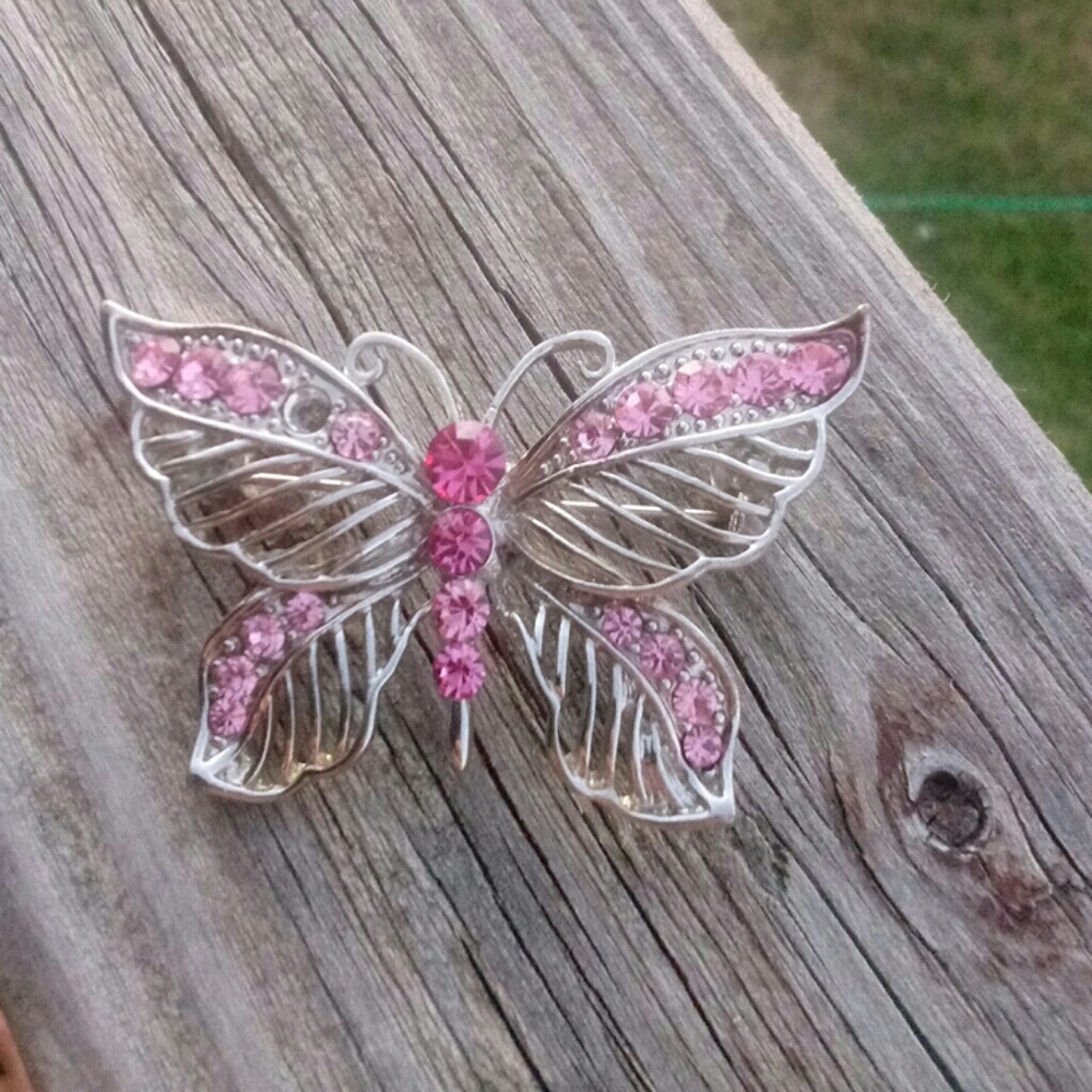Pink and silver butterfly clip