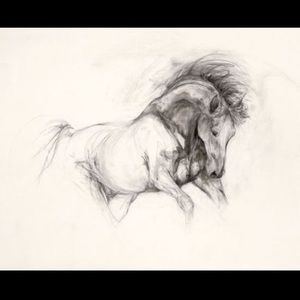 Meet your Posher, Valli