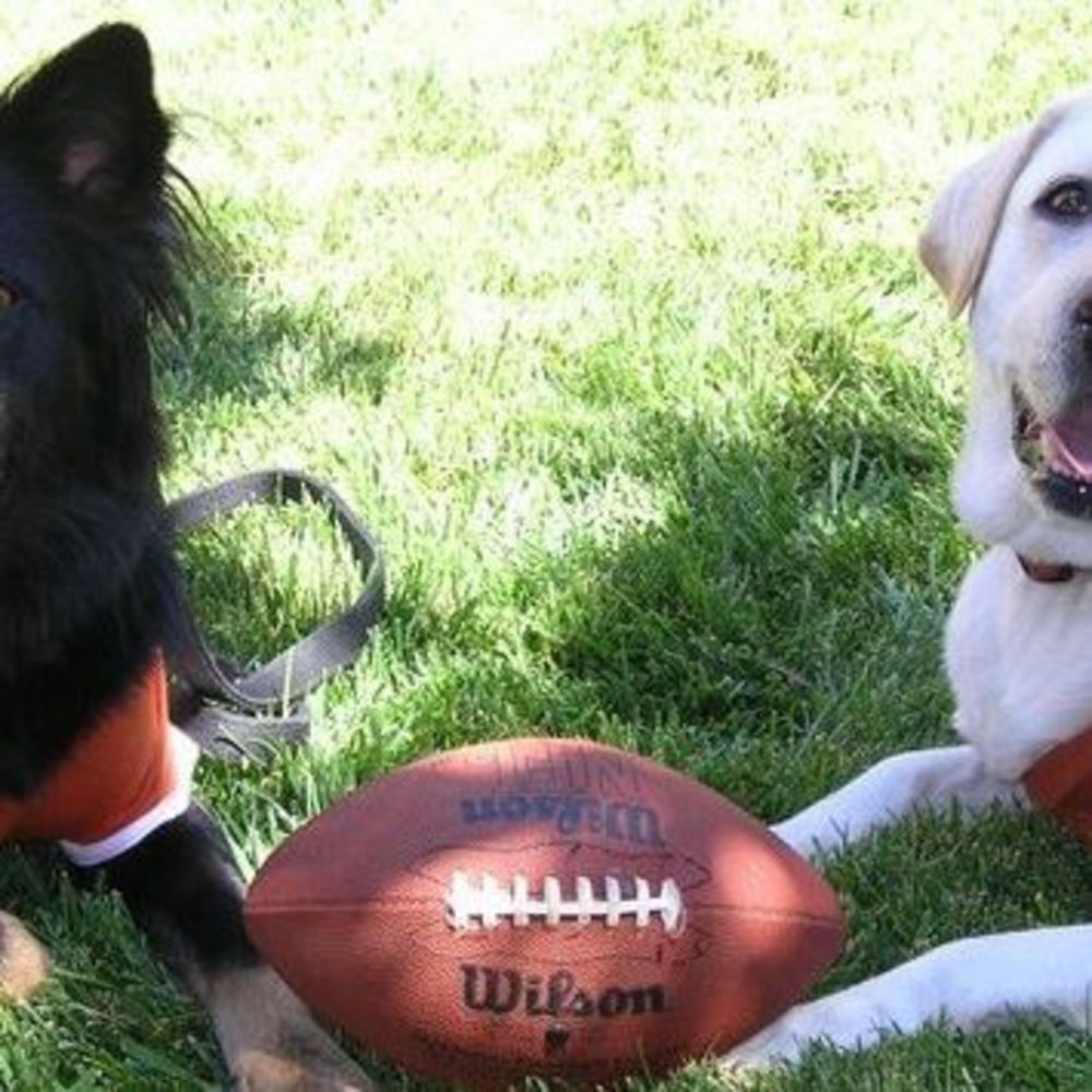 Meet your Posher, Julie