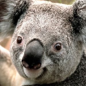 Meet your Posher, Chloe