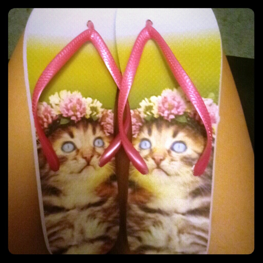 Kitty summer flipflops