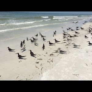 Meet your Posher, Matt