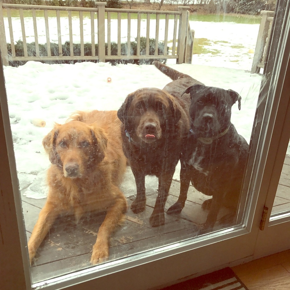 Meet your Posher, Pamela