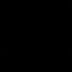 Meet your Posher, Sylvester