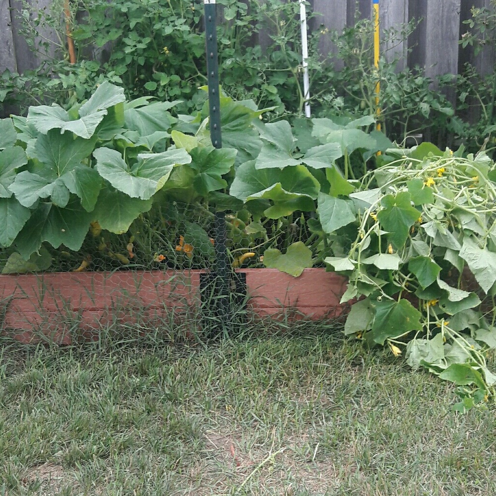 Meet your Posher, Carly