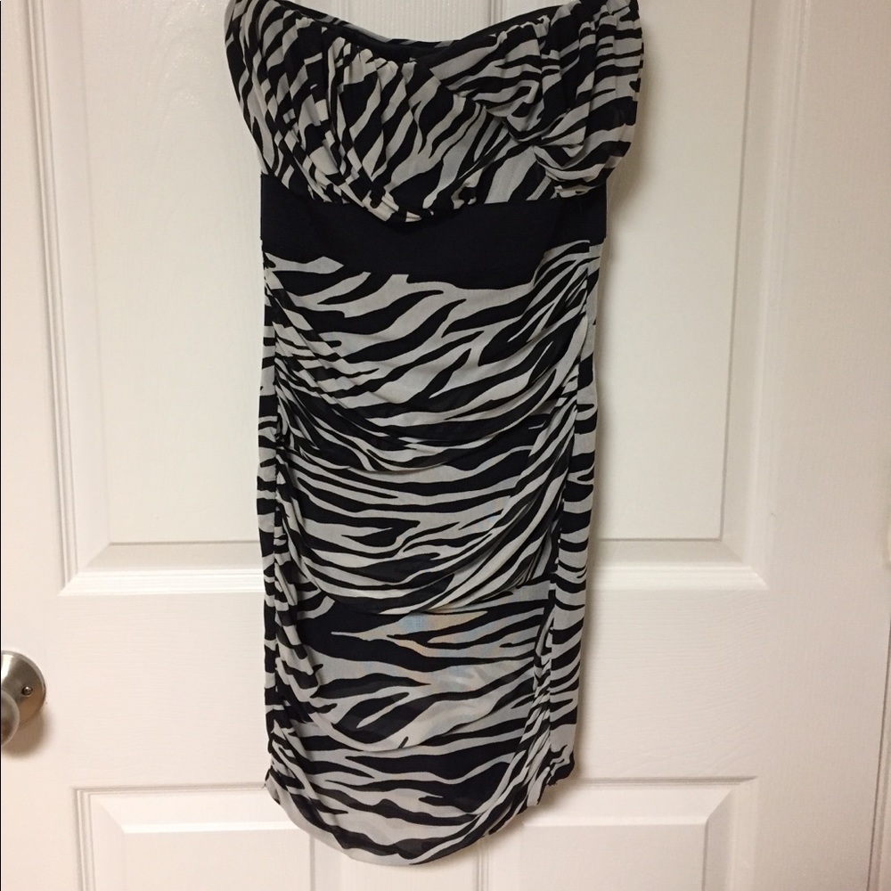 Charlotte Russe Zebra print semi formal mini dress