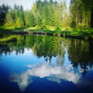 Meet your Posher, Junior