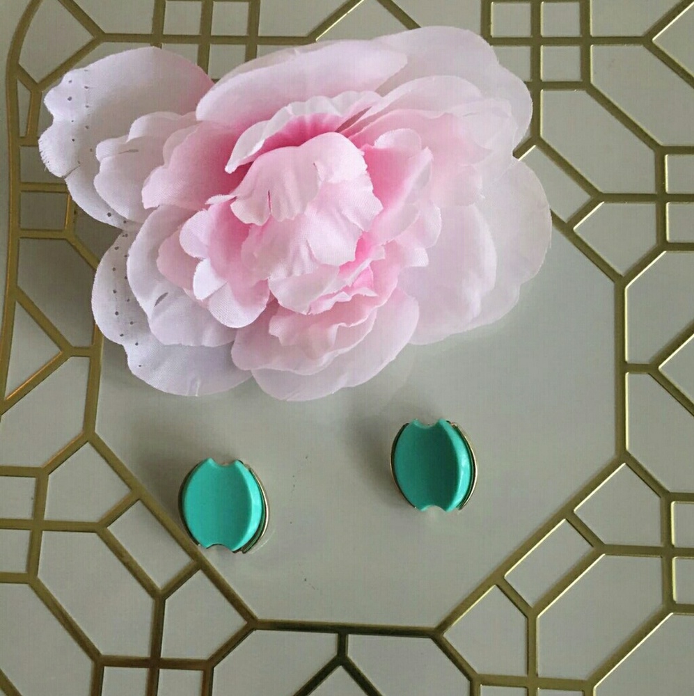 Turquoise earings