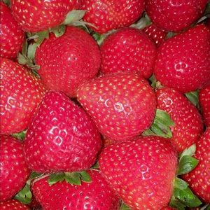 Meet your Posher, Tristan