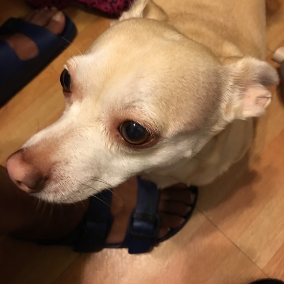 Meet your Posher, Myriam - Picture 1 of 1