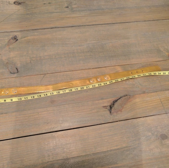 Vintage Gold Escada Belt with Leopard Charms