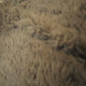 Meet your Posher, Travis