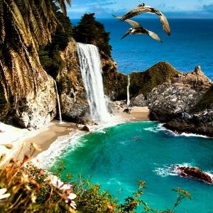 Meet your Posher, Ava