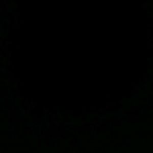 Meet your Posher, Mason