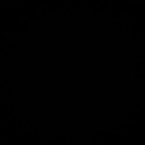 Meet your Posher, Thamer