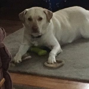 Meet your Posher, Samantha