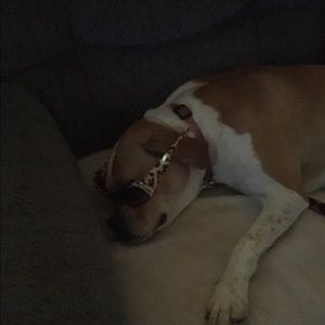 Meet your Posher, Pamela