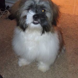 Meet your Posher, Mae