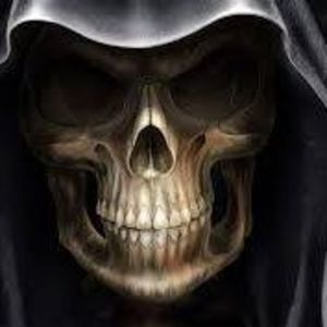 Meet your Posher, Lee